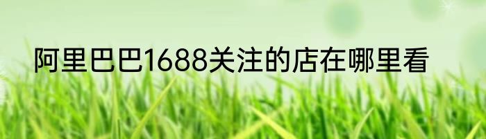 阿里巴巴1688关注的店在哪里看