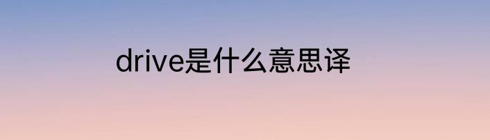 drive是什么意思译