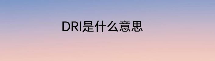 DRI是什么意思