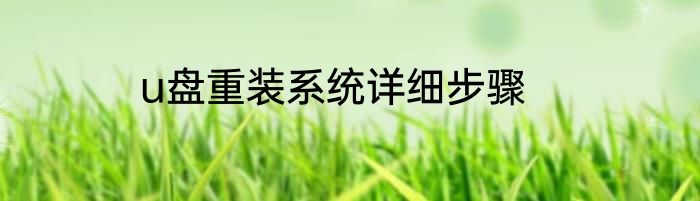 u盘重装系统详细步骤