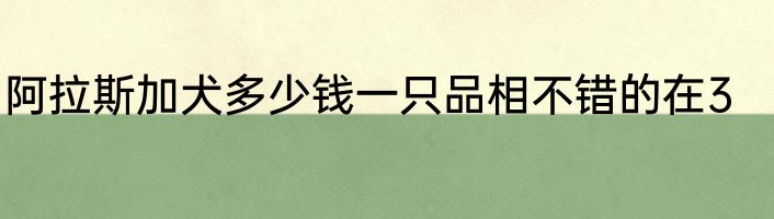 阿拉斯加犬多少钱一只品相不错的在3