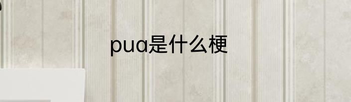 pua是什么梗