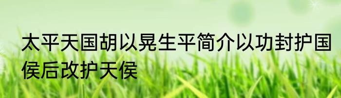 太平天国胡以晃生平简介以功封护国侯后改护天侯