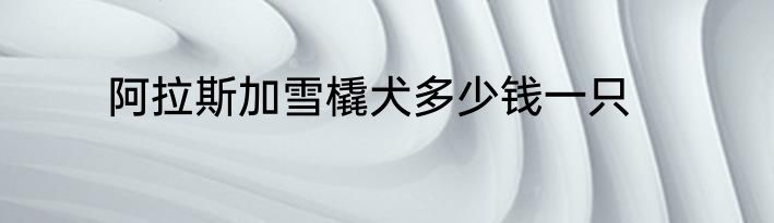 阿拉斯加雪橇犬多少钱一只