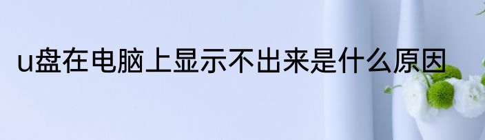 u盘在电脑上显示不出来是什么原因