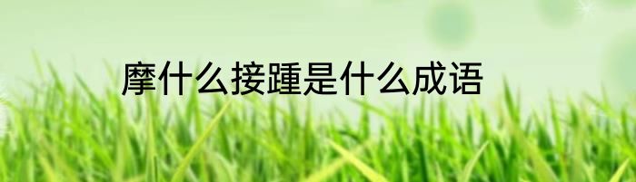 摩什么接踵是什么成语