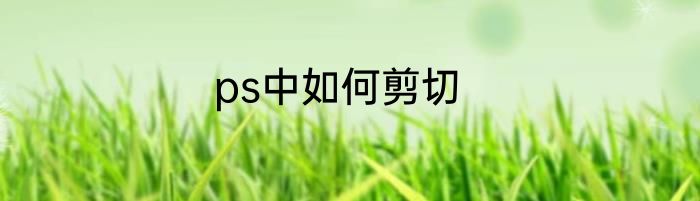 ps中如何剪切