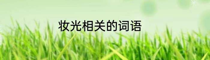 妆光相关的词语
