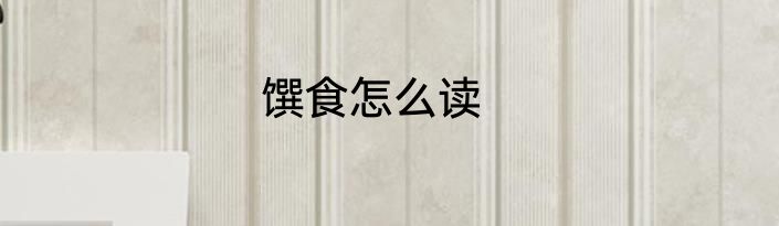 馔食怎么读