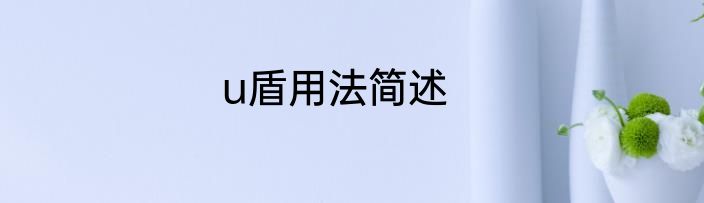 u盾用法简述