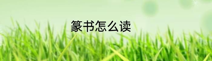 篆书怎么读