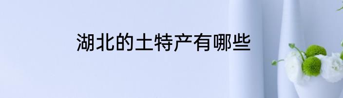 湖北的土特产有哪些