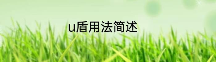 u盾用法简述