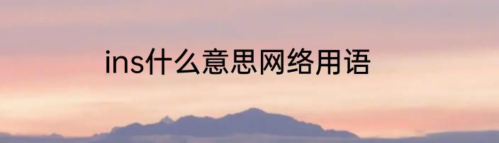 ins什么意思网络用语