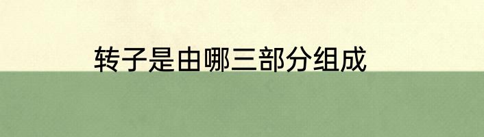 转子是由哪三部分组成