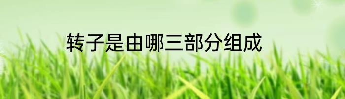 转子是由哪三部分组成