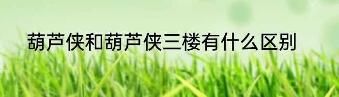 葫芦侠和葫芦侠三楼有什么区别