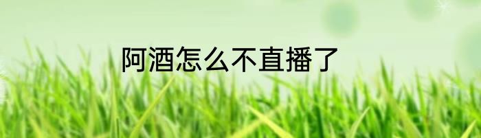 阿酒怎么不直播了