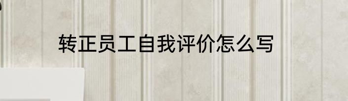 转正员工自我评价怎么写