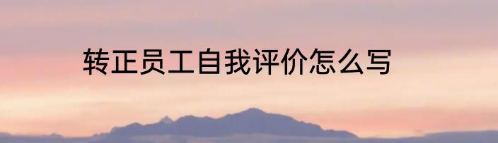 转正员工自我评价怎么写