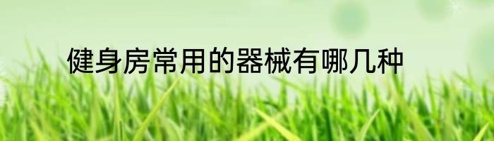 健身房常用的器械有哪几种