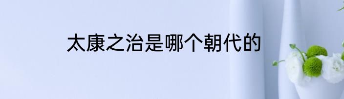 太康之治是哪个朝代的