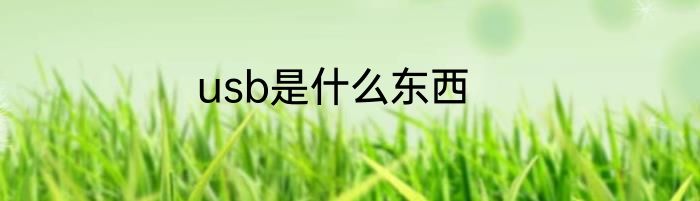 usb是什么东西