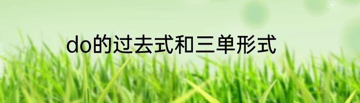 do的过去式和三单形式