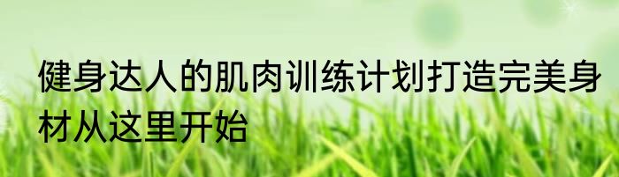 健身达人的肌肉训练计划打造完美身材从这里开始