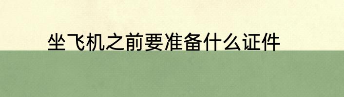 坐飞机之前要准备什么证件