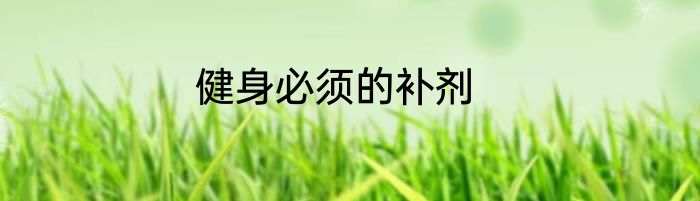健身必须的补剂