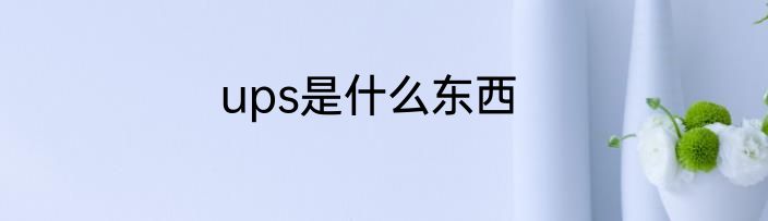 ups是什么东西
