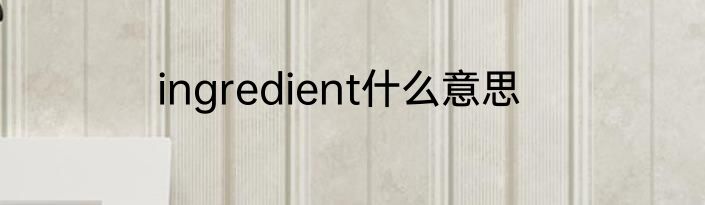 ingredient什么意思
