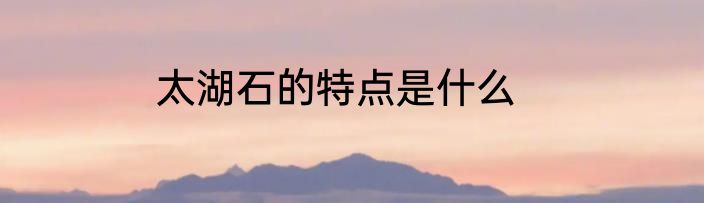 太湖石的特点是什么