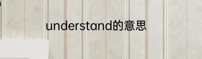 understand的意思