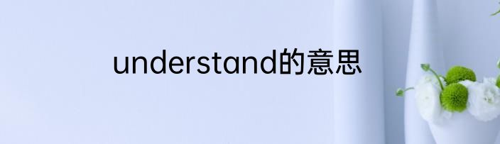 understand的意思