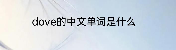 dove的中文单词是什么