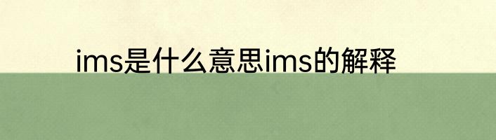 ims是什么意思ims的解释