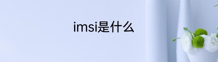 imsi是什么