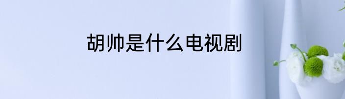 胡帅是什么电视剧