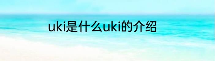 uki是什么uki的介绍