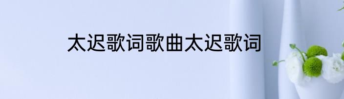 太迟歌词歌曲太迟歌词