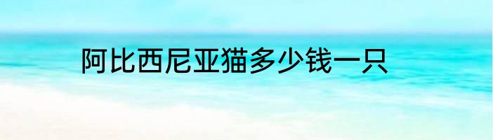 阿比西尼亚猫多少钱一只