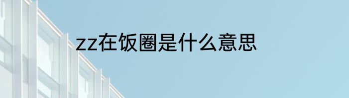 zz在饭圈是什么意思