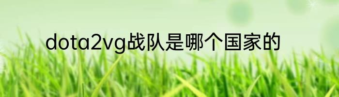 dota2vg战队是哪个国家的