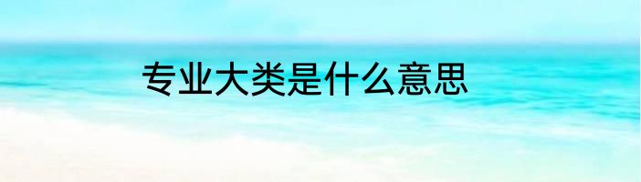 专业大类是什么意思
