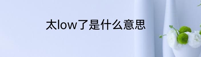 太low了是什么意思