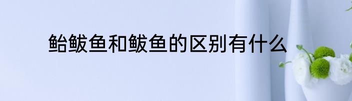 鲐鲅鱼和鲅鱼的区别有什么