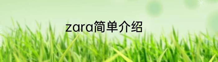 zara简单介绍
