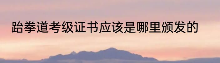 跆拳道考级证书应该是哪里颁发的